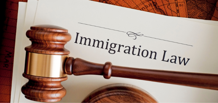 Immigration Law